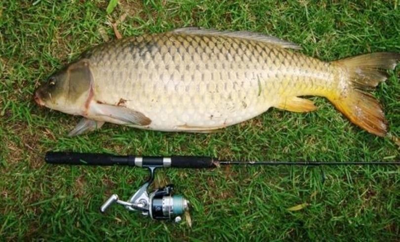 İç Sularda Su Ürünleri̇ Avcılığı Başladı