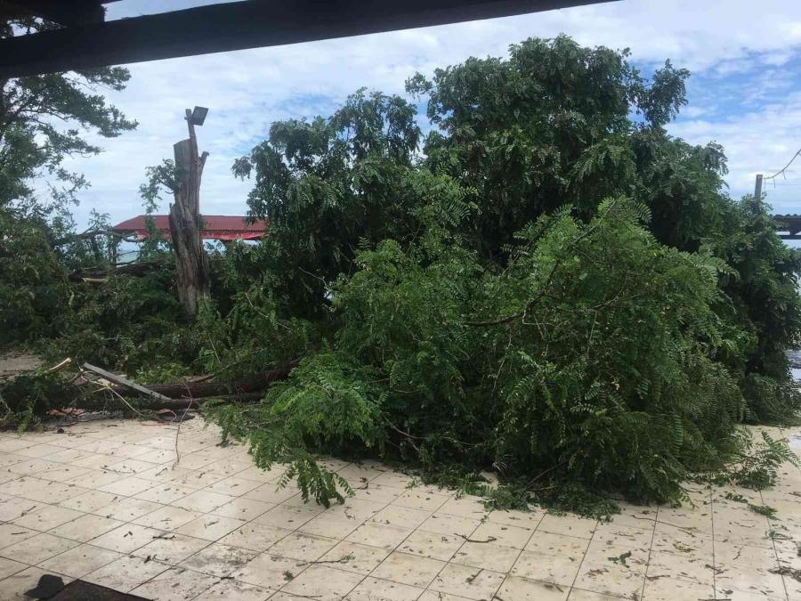 Şi̇ddetli̇ Fırtınada İşletme Zarar Gördü