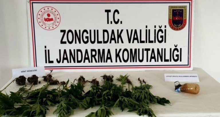Zonguldak 28 Kök Kenevi̇r Bi̇tki̇si̇ Ele Geçi̇ri̇ldi̇