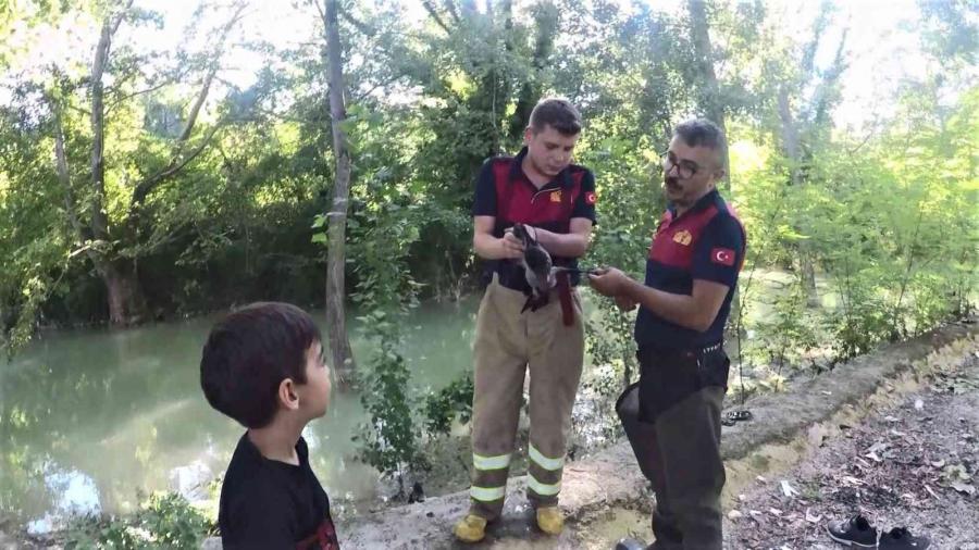 Ayağına İp Dolanan Karganın Yardımına İtfai̇ye Yeti̇şti̇