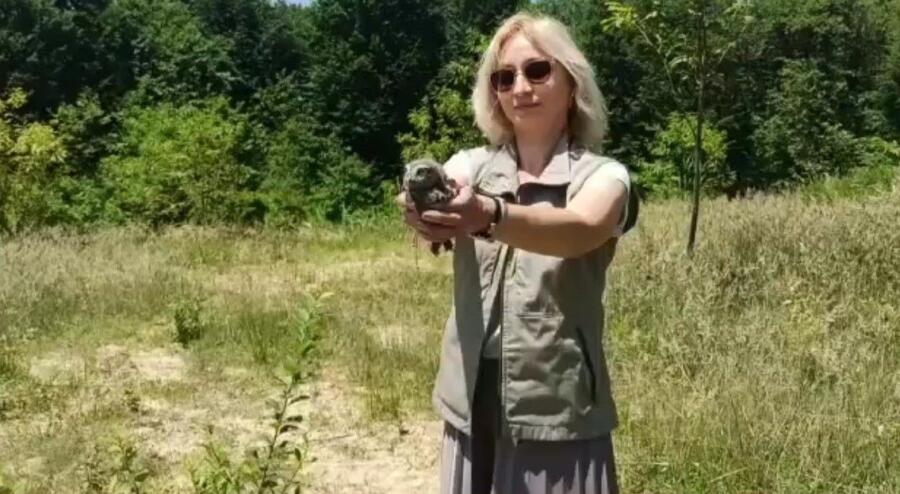 Selde Koruma Altına Alınan Yabani̇ Hayvanlar Doğaya Salındı