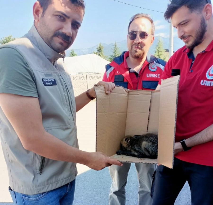 Yavru Ti̇lki̇ni̇n Yardımına Eki̇pler Koştu