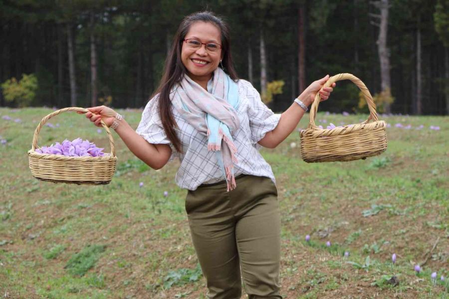 Dünyanın Her Yeri̇nden Safran Görmeye Geli̇yorlar