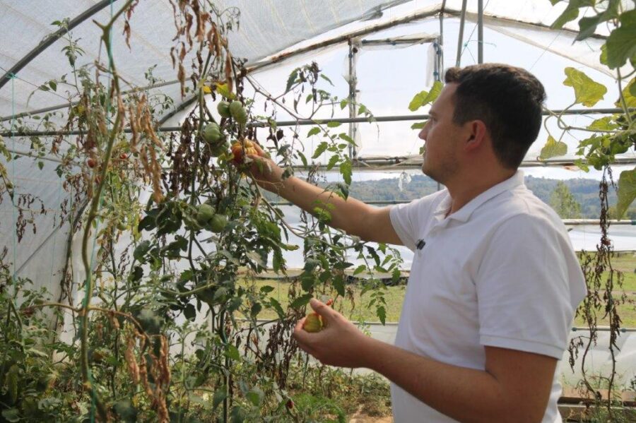 KDZ. EREĞLİ BELEDİYESİ, TOPRAĞIN SAF MİRASI ATA TOHUMLARINI GELECEĞE TAŞIYOR